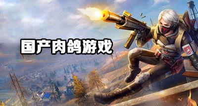 适合长期玩的肉鸽游戏