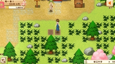 牧场物语希望之光